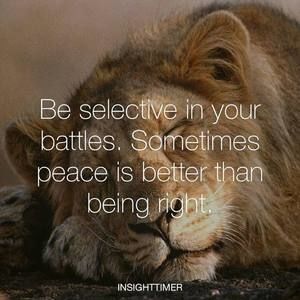 Meet your Posher, Joy